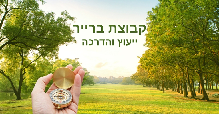 קבוצת ברייר ייעוץ והדרכה